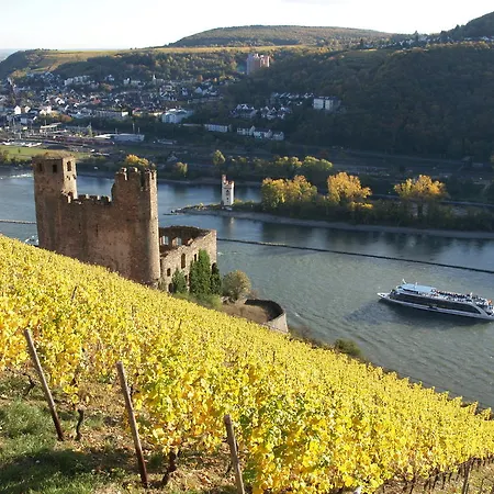 Lindenwirt 3* Rüdesheim am Rhein